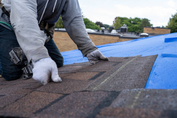 Best Roof Gutter Cleaning  in Viola, IL