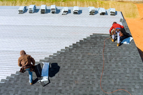 Best Roof Restoration Services  in Viola, IL