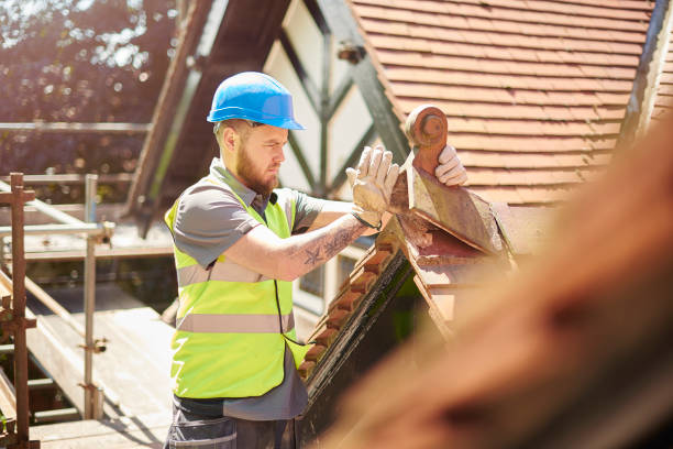 Best Flat Roof Repair Services  in Viola, IL