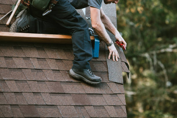 Best Roof Waterproofing Services  in Viola, IL